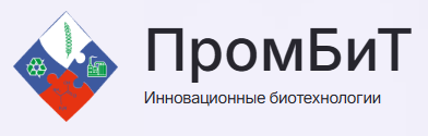 Промбит
