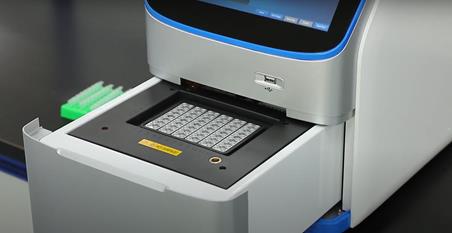 ДНК-амплификатор в 