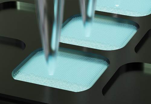 Система цифровой ПЦР D600 Digital PCR Analysis System, 2-канальная, Maccura, Китай