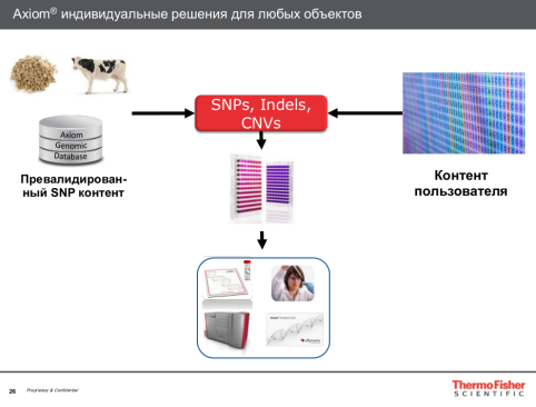 Индивидуальные решения