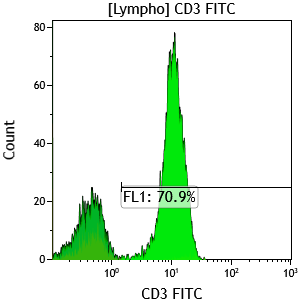 CD3.png