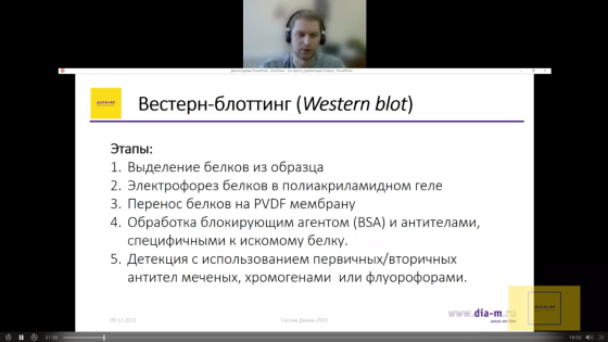 Особенности применения готовых полиакриламидных гелей. Обзор эргономичной камеры для вертикального электрофореза Mini Gel Tank, Thermo FS