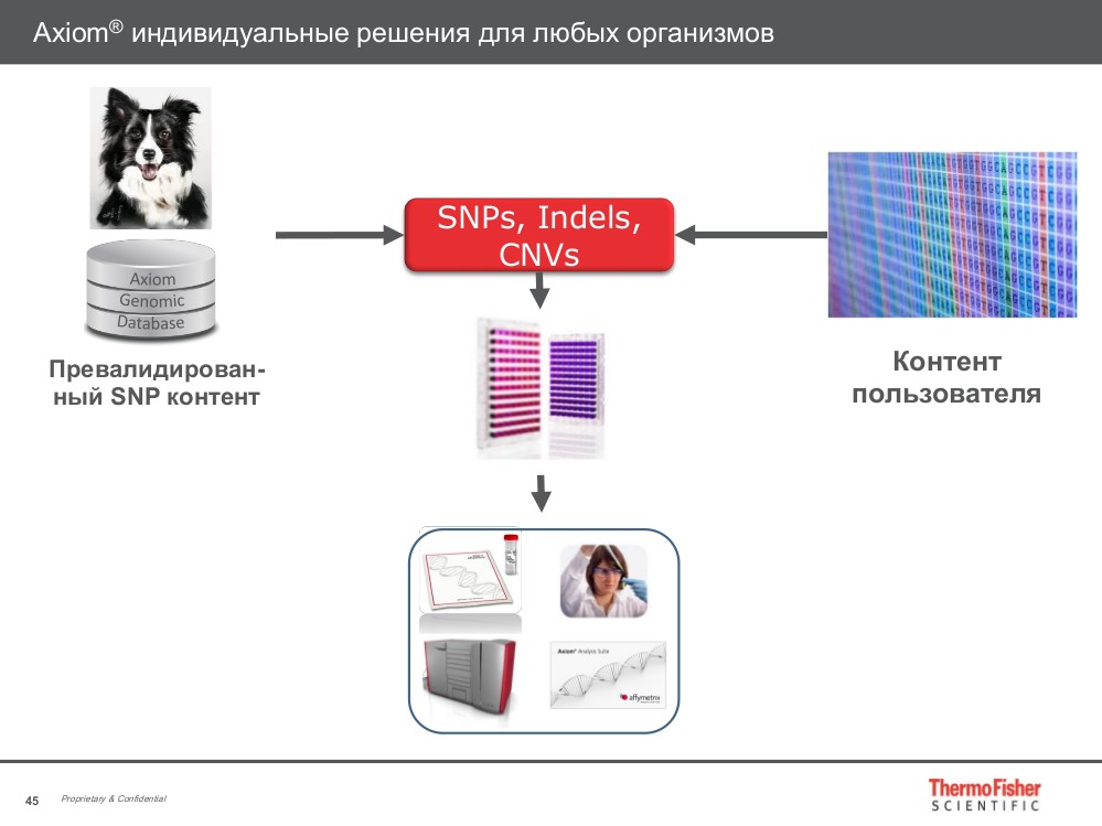 Индивидуальное решение