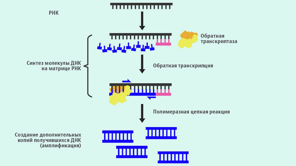 диагностика коронавируса
