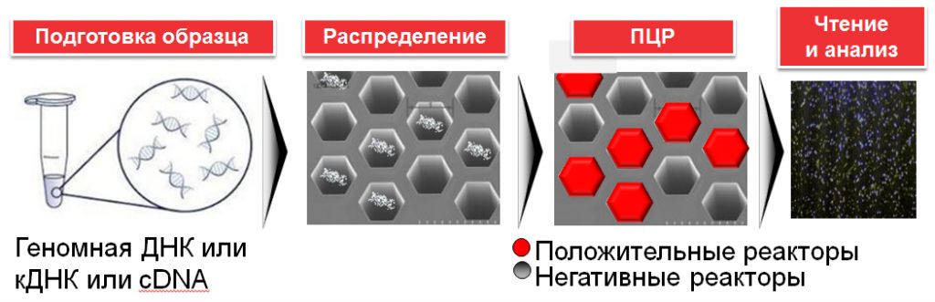 PCR_1.jpg