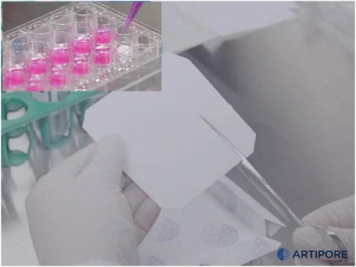 Биосовместимая нановолокнистая подложка на основе гидрогеля NanoFibers, толщина подложки 30-60 мкм