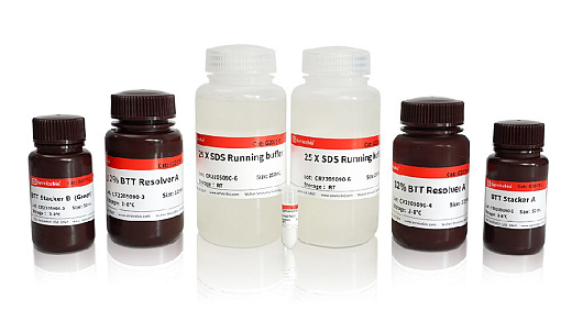 Наборы реагентов для заливки гелей 8%, 10% или 12% BTT SDS-PAGE высокого разрешения зеленого цвета, 50 гелей, Servicebio, Китай