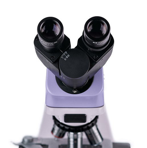 Микроскоп MAGUS Bio 230B, прямой, бинокуляр/тринокуляр, СП, ТП, ФК, Пол, Ахромат 4×, 10×, 40×, 100× МИ Фото 13