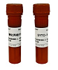 Набор для оценки жизнеспособности бактерий и дрожжей Live or Dead Bacterial/Yeast Viability Kit (SYTO-9/PI), Servicebio, Китай
