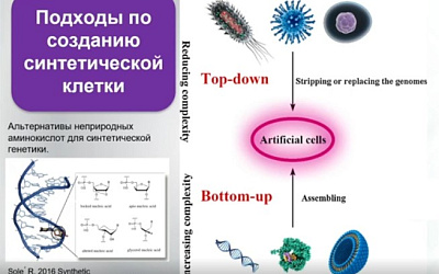 Разгадать и превзойти «натуру»