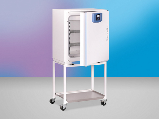 Стерилизатор суховоздушный 111 л, до 250 °С, принудительная вентиляция, ECO line, Stericell 111 eco, открытая дверца