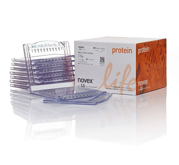 NW00127BOX Гель полиакриламидный Bolt Bis-Tris Mini Protein Gel, 8 х 8 см, 17 лунок, 12%, 10 шт./уп., Thermo FS