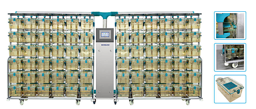 Система для крыс (Rat IVC)