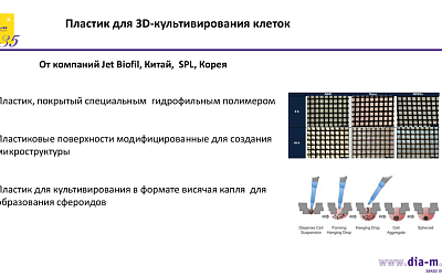 3D-культивирование: предлагаем комплексные решения от лабораторий до биопроизводства