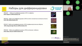 Вебинар 04.10.22. Основа-основ: культивирование и криоконсервация клеточных линий в условиях санкций