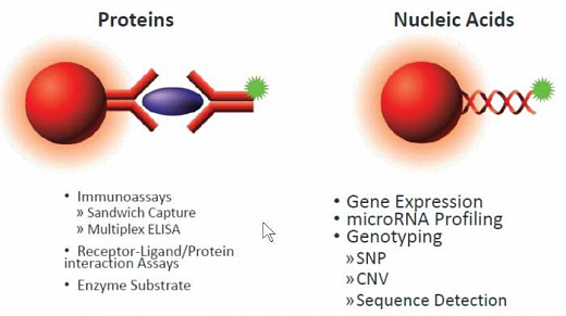 Система мультиплексного анализа, до 500 аналитов, FlexMap 3D Фото 3