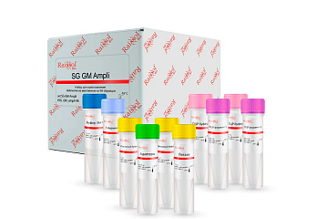 Набор для приготовления библиотек из ампликонов SG GM Ampli, Raissol