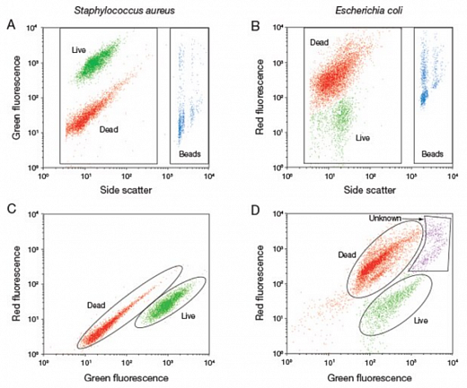 Набор для определения концентрации и жизнеспособности бактерий LIVE/DEAD BacLight Фото 2