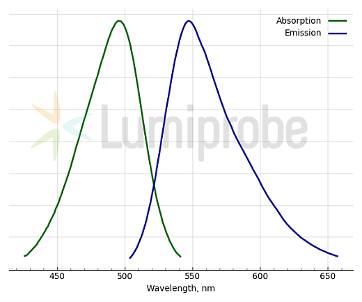 Спектры поглощения и эмиссии dsGold (комплекс с дцДНК)