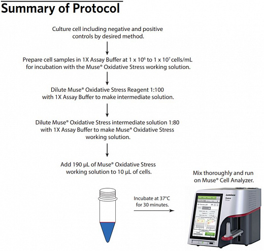 Набор для анализа окислительного стресса Muse Oxidative Stress Kit, 100 тестов Фото 2