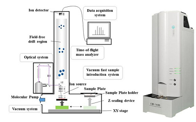 Самое быстрое и точное определение видовой идентификации микроорганизмов с помощью масс-спектрометрической системы CMI-1600, Hexin (Китай)