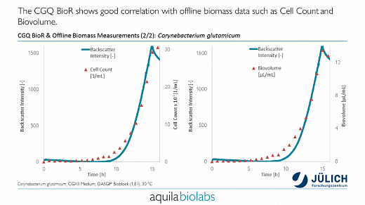 ПО для автоматического онлайн мониторинга биомассы в колбах/биореакторах, cgQuant Фото 10