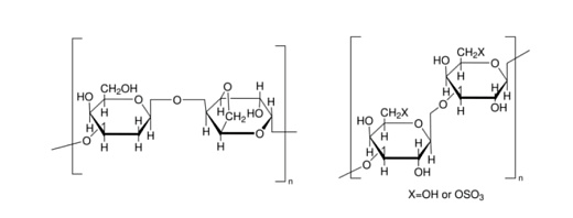 Агар LB по Miller с канамицином, 50 мкг/мл, Диаэм