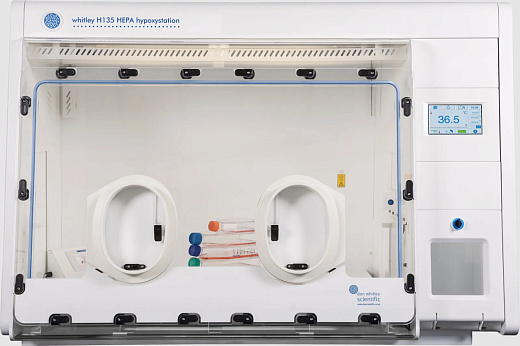 Клеточная станция для создания условий гипоксии, 826 л, HEPA, H135, Don Whitley Scientific (вид спереди)