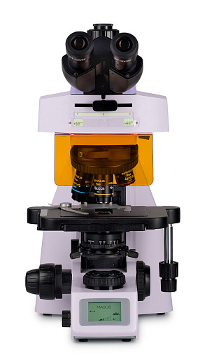 Микроскоп люминесцентный Magus Lum 400L, прямой, тринокуляр, СП, ТП, планахромат 4×, 10×, 40×, 100× (вид спереди)