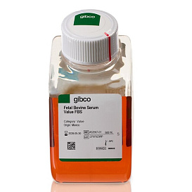 Сыворотка эмбриональная бычья (FBS) value, Gibco, (qualified, Бразилия), 500 мл, Thermo Fisher