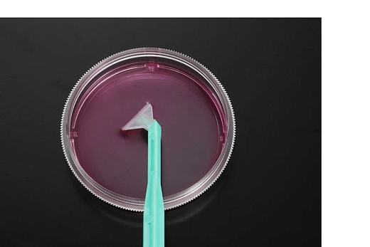 Скребок для клеток, вращающийся, лезвие 12 мм, рукоятка 30 см, стерильный, ПЭ/АБС, инд., упак., 150 шт./кор., Jet Biofil,  Китай