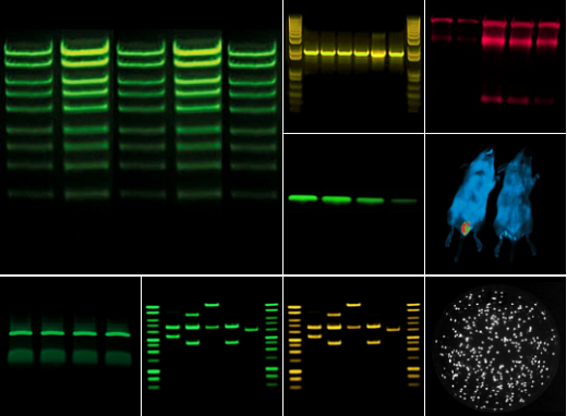 Гель- и хемидокументирующая система Fusion-FX7.Edge V.070, 4,6 Мп, охлаждение до -65 °С, автофокус, без трансилюминатора, без фильтра Фото 3
