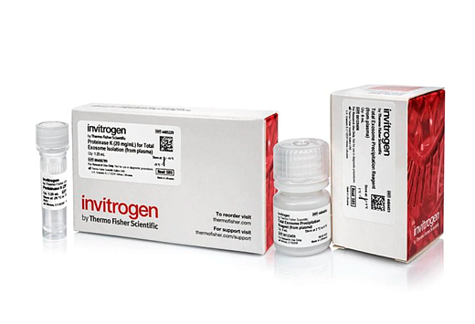 Набор для выделения экзосом из плазмы Total Exosome Isolation Kit (from plasma), Thermo FS