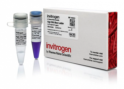 Маркер длин ДНК High DNA Mass Ladder, 6 фрагментов от 1000 до 10 000 п.н., 0,13 мкг/мкл Фото 2
