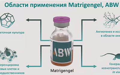 3D-культивирование: предлагаем комплексные решения от лабораторий до биопроизводства