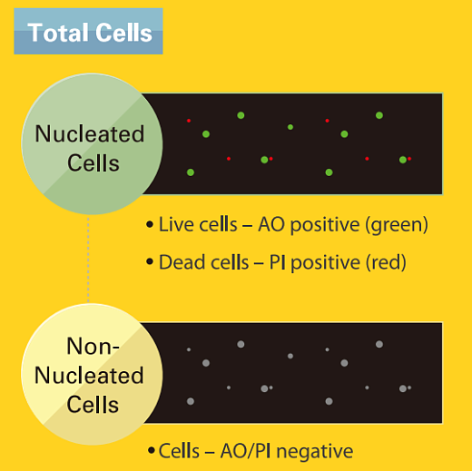 Счетчик и анализатор жизнеспособности стволовых клеток и клеток SVF, 1-90 мкм, LUNA-STEM Фото 4