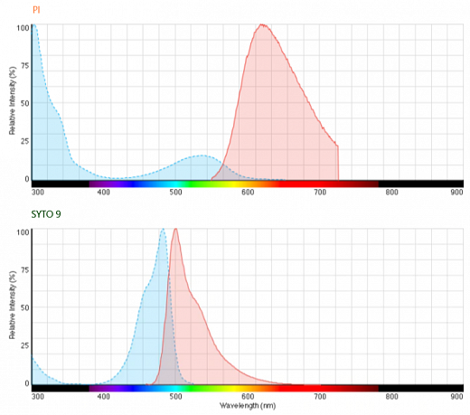 Набор для определения концентрации и жизнеспособности бактерий LIVE/DEAD BacLight Фото 3