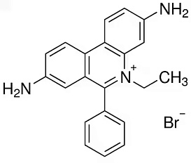 Краситель Ethidium bromide, 10 мг/мл
