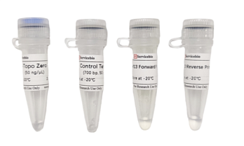 Компоненты набора для клонирования ПЦР-продуктов pSWE-Topo Zero