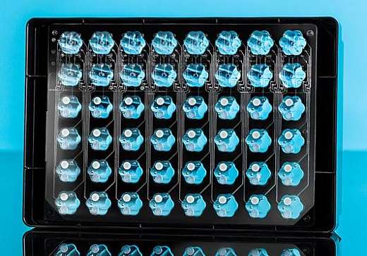 Планшет 48-лун. с лепестковыми лунками Flower Plate, микрофлюидный, прозрачное дно,  для низких значений рН, 1 шт. Фото 1