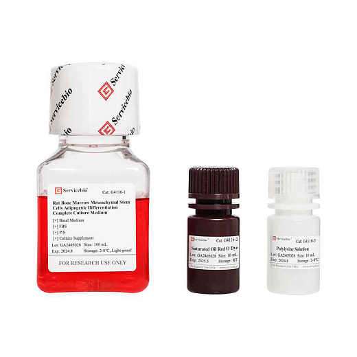 G4116-100ML  Набор для адипогенной дифференцировки МСК крысы, 100 мл, Servicebio,  Китай