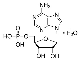 АМФ (Аденозин-5-монофосфорной кислоты, AMP)