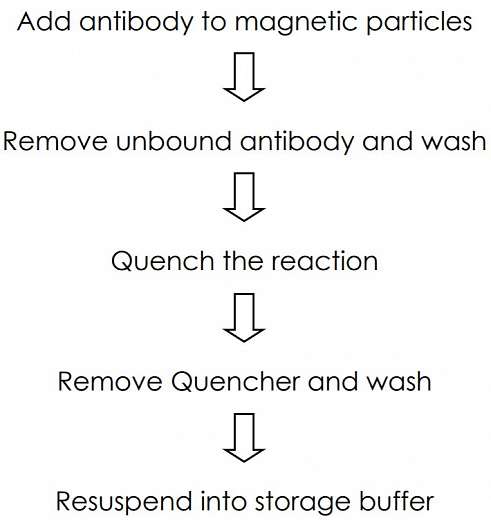 Набор для конъюгации антител с магнитными частицами Magnetic Conjugation Kit Фото 2