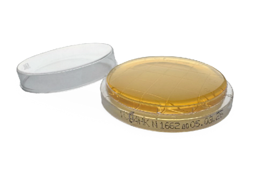 Контактные чашки Петри 55 мм с триптон-соевым агаром с лецитином, гистидином и тиосульфатом натрия, тройная упаковка, Tween 80, Россия