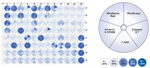 Программный модуль InCyte Software Module для easyCyte HT Фото 2