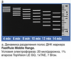 Маркер длин ДНК FastRuler Middle Range, 5 фрагментов от 50 до 1500 п.н., готовый к применению