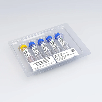 Набор для циклического секвенирования по Сэнгеру NovaDye Terminator Cycle Sequencing Kit v3.1, Россия