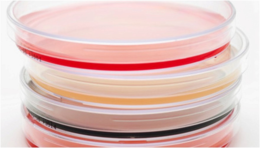 Чашки Петри 90 мм с агаром для подсчета колоний, γ- облученные, тройная упаковка, TM Media