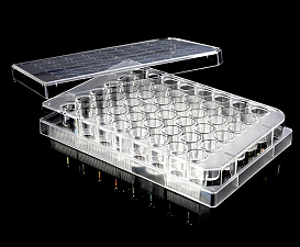 Планшет культуральный 48-лун. с крышкой, поверхность ТС, Biologix, Китай