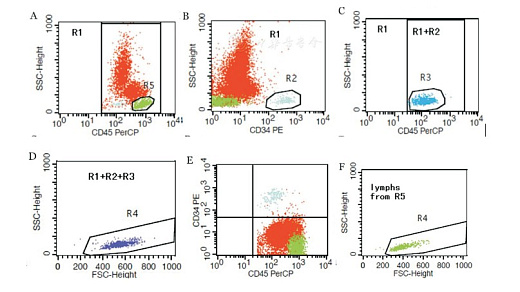 Рисунок 1 Подсчёт абсолютного количества CD34 + клеток